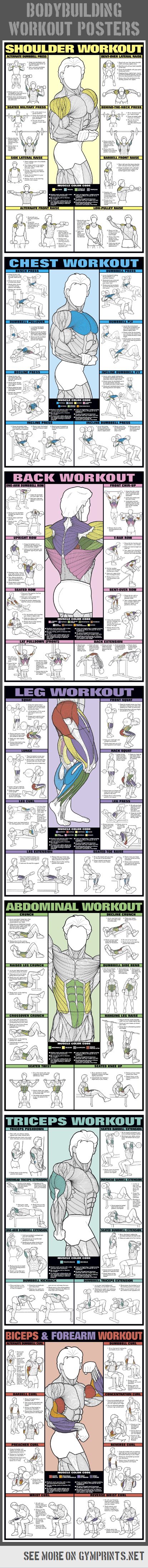 фитнес упражнения инфографика